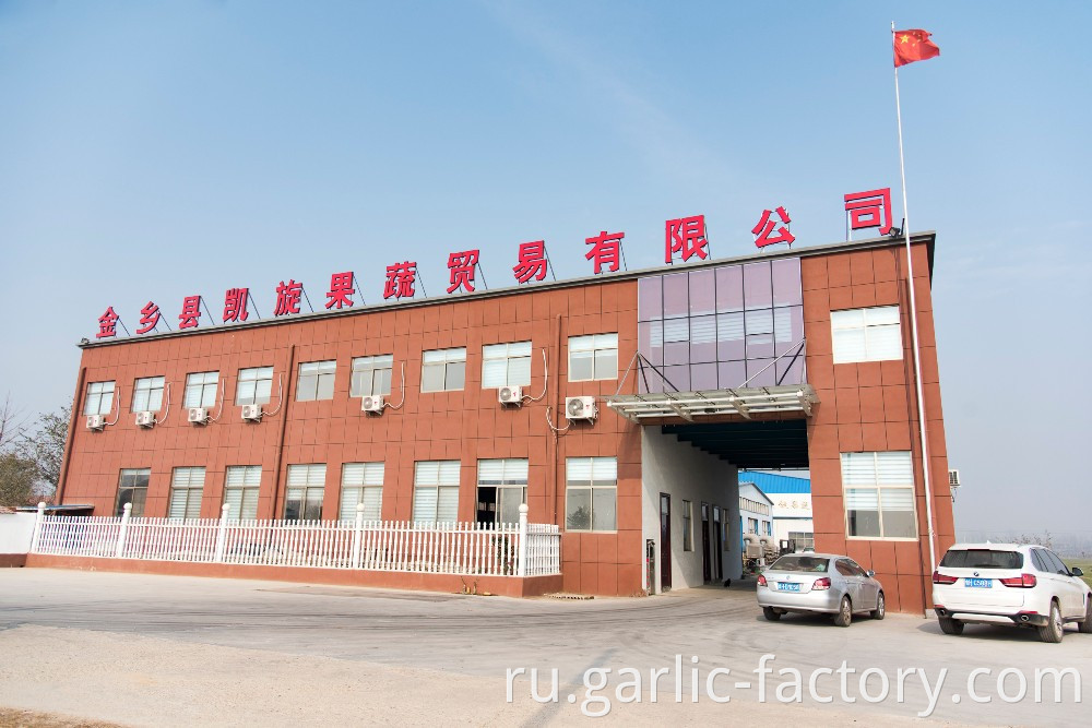 Hot sale garlic in china is jinxiang county garlic ,Garlic from Jinxiang，Planting garlic for decades，Have enough experience to control the quality of garlic products。Make sure people eat garlic healthily.